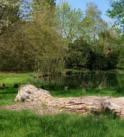 Tatai Fényes tanösvény