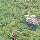 Tatai Fényes tanösvény Tata - Egyéb