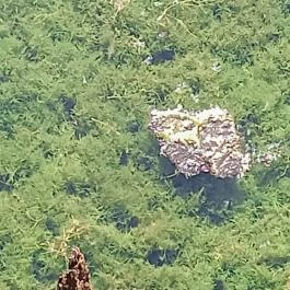 Tatai Fényes tanösvény, Tata - Egyéb