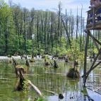 Tatai Fényes tanösvény Tata - Egyéb