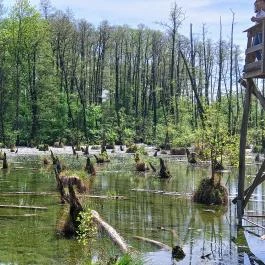 Tatai Fényes tanösvény, Tata - Egyéb