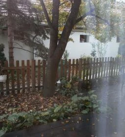 Vadszőlő Vendégház