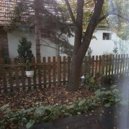 Vadszőlő Vendégház Cák - Külső kép