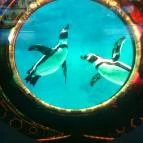 Magyar Mezőgazdasági Múzeum és Könyvtár Budapest - 