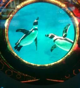 Magyar Mezőgazdasági Múzeum és Könyvtár