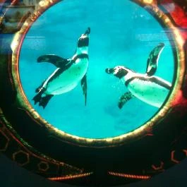 Magyar Mezőgazdasági Múzeum és Könyvtár Budapest - Egyéb