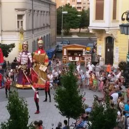 Mercure Székesfehérvár Magyar Király Székesfehérvár - Környék