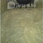 Venus Hotel Zalakaros - Környék