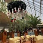 Belenus Thermalhotel Superior Zalakaros - Egyéb