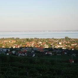 Szent Donát Pince & Borház Csopak - Egyéb