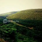 Hotel Ózon & Luxury Villas Mátraháza - Környék