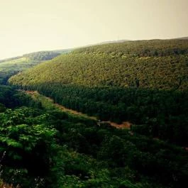 Hotel Ózon & Luxury Villas Mátraháza - Környék