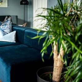 Tiszavirág Szeged Szeged - Egyéb