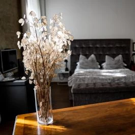 Tiszavirág Szeged Szeged - Egyéb