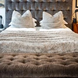 Tiszavirág Szeged Szeged - Egyéb