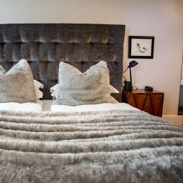 Tiszavirág Szeged Szeged - Egyéb