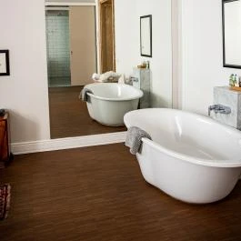 Tiszavirág Szeged Szeged - Egyéb