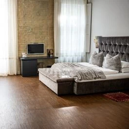 Tiszavirág Szeged Szeged - Egyéb