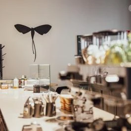 Tiszavirág Szeged Szeged - Egyéb