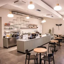 Tiszavirág Szeged Szeged - Egyéb