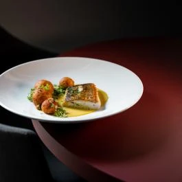 Tiszavirág Szeged Szeged - Egyéb