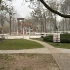 Tamás Tanya Csemő - Egyéb