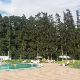 Festetich Kastélyszálló és Zsuzsanna Hotel, Szeleste - Medence/kert