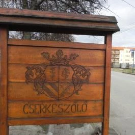 Solaris Apartman & Resort Cserkeszőlő - Környék