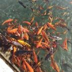 Hunguest Hotel Pelion Tapolca - Külső kép