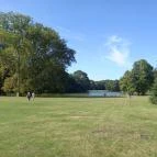 Brunszvik-kastély Martonvásár - Egyéb