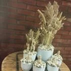 Danubius Health Spa Resort Bük Bük, Bükfürd? - Belső