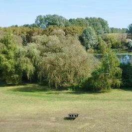 Kányavári-sziget, Balatonmagyaród - Egyéb