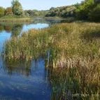 Kányavári-sziget Balatonmagyaród - Egyéb