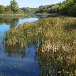 Kányavári-sziget, Balatonmagyaród - Egyéb