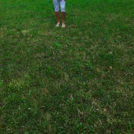 Kányavári-sziget, Balatonmagyaród - Egyéb