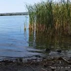 Kányavári-sziget Balatonmagyaród - Egyéb