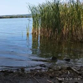 Kányavári-sziget, Balatonmagyaród - Egyéb