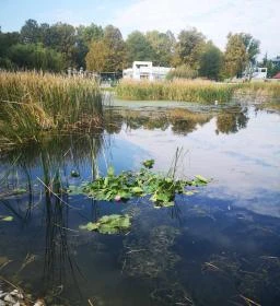 Zalakaros Termáltó & Ökopart