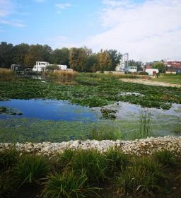 Zalakaros Termáltó & Ökopart