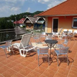 Wellness Park Panzió, Gyenesdiás - Medence/kert