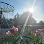 Balatonlellei Vidámpark Balatonlelle - Egyéb