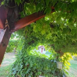 Matild Country Hotel, Nemesvita - Egyéb