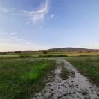 Hétkúti Wellness Hotel & Lovaspark Mór - Környék