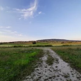 Hétkúti Wellness Hotel & Lovaspark Mór - Környék