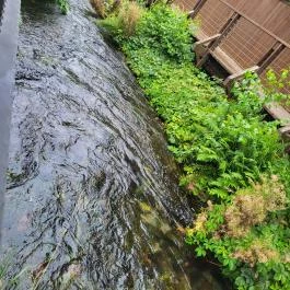 Rózy Tapolca - Egyéb