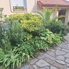 Szentesi Panzió Fertőrákos - Egyéb