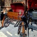 Henry Milne Angol Lovastörténelmi Villamúzeum Fotó & Filmstúdió Tata - Egyéb