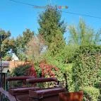 Henry Milne Angol Lovastörténelmi Villamúzeum Fotó & Filmstúdió Tata - Egyéb