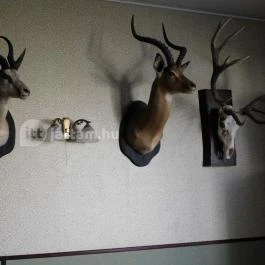 100 Éves Fogadó Szatymaz - Egyéb