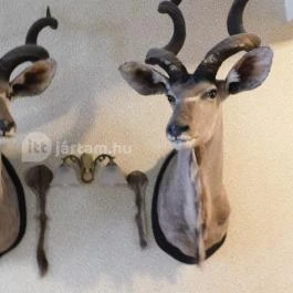 100 Éves Fogadó Szatymaz - Egyéb